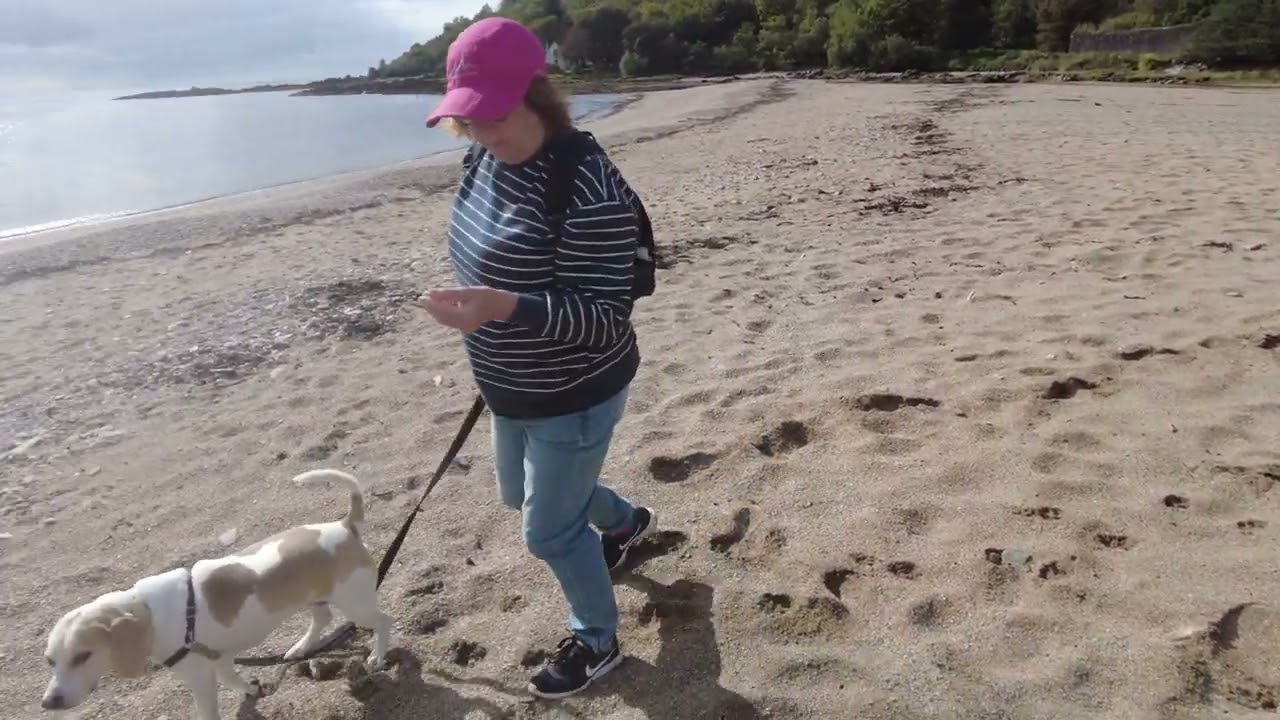 Travelling to Saddell bay on the Kintyre trail V5 VW Campervan