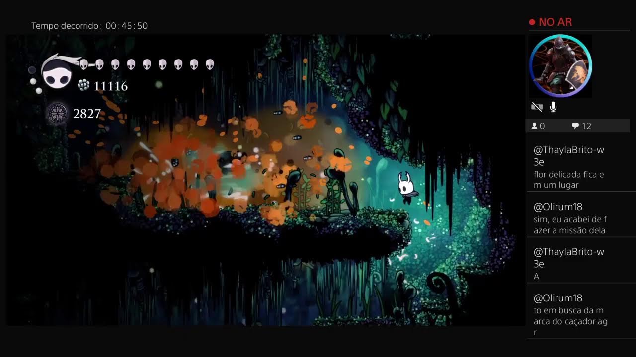 Flor delicada Hollow knight socorro