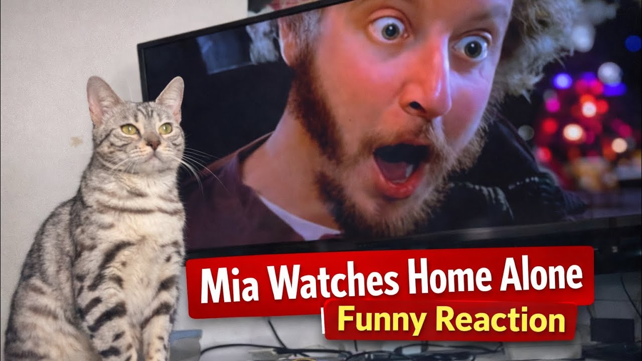 Mia and 