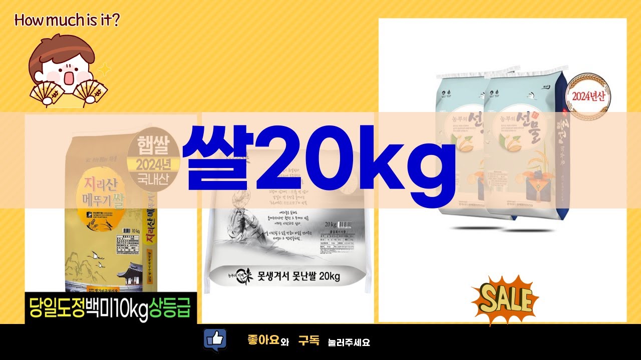 갓성비 쌀 대결! 의성진 vs 이천쌀 vs 지리산쌀 20kg 비교분석  못난이 쌀 후기