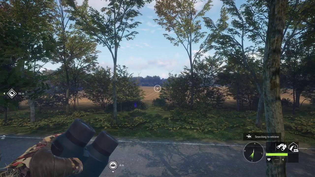 Hunting for my first great one