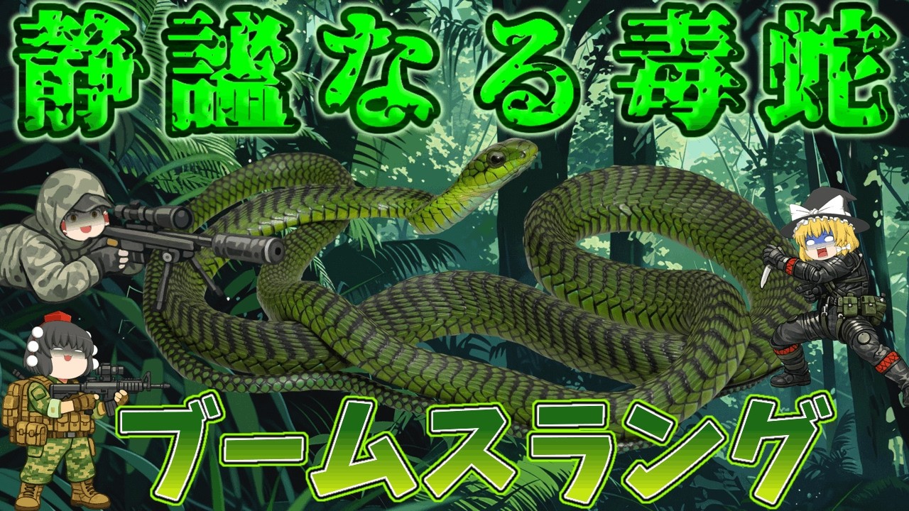 【ゆっくり解説】静謐なる毒蛇！ブームスラング