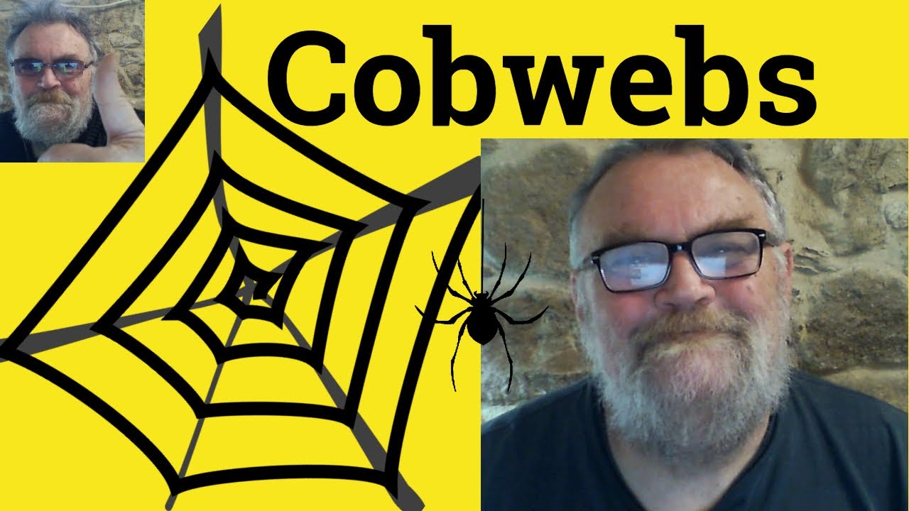 😎 Cobwebs Meaning - Blow Away the Cobwebs Defined - Cobweb Definition - Clear the Cobwebs Examples