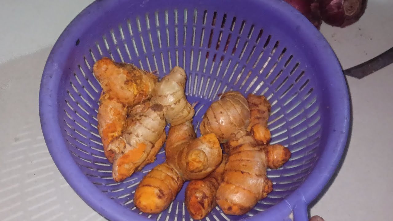 कच्ची हल्दी की रिसेपी।। Aaj ham Raw turmeric  ki sabji bana rahe hai 
