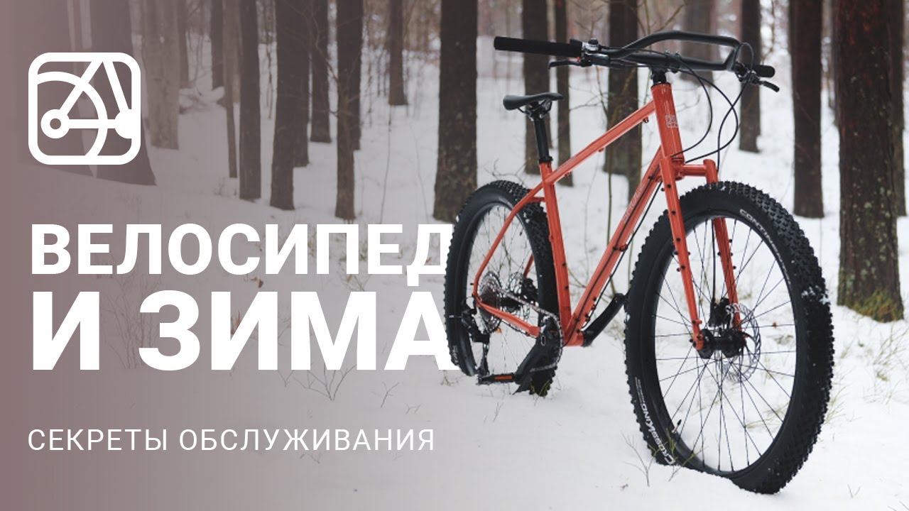 Как кататься зимой? Сотрудники SHULZ отвечают на ваши вопросы о зимней езде