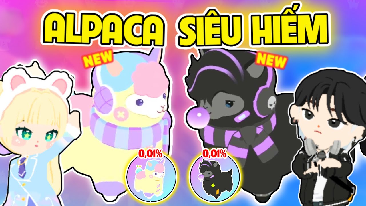 PLAY TOGETHER | BEDY SOLO MỞ HỘP PET ALPACA CÙNG MEO VÀ CÁI KẾT