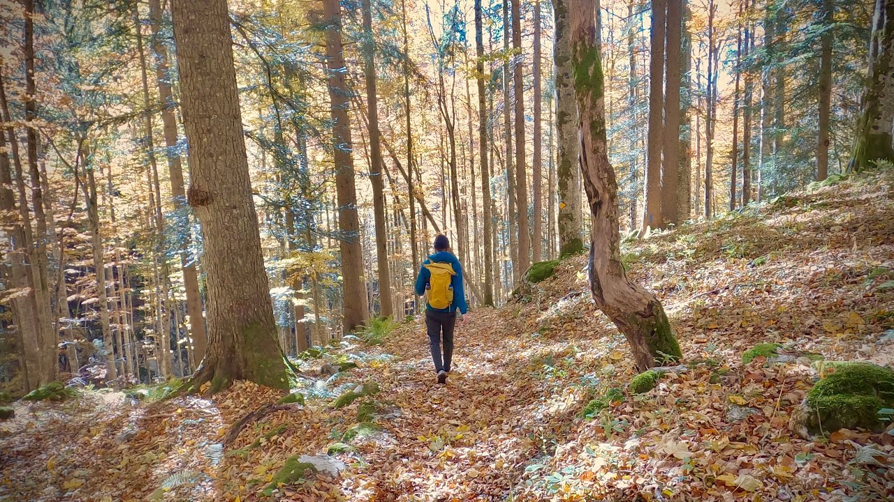 Jura-Höhenweg 8. Etappe: Chasseral - Vue-des-Alpes