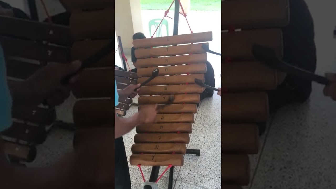 ลายกาเต้นก้อน เดี่ยวโปงลาง