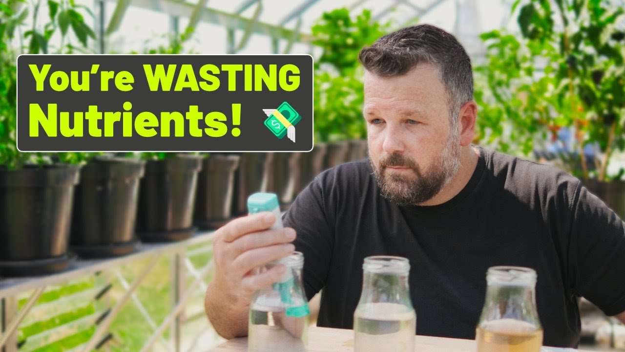 The Secret pH Hack for MASSIVE Chilli Harvests! 🌶️ (Don’t Make This Mistake)