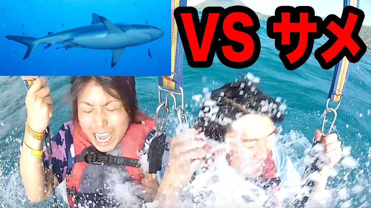 【危険】サメがいる海に落ちましたwww
