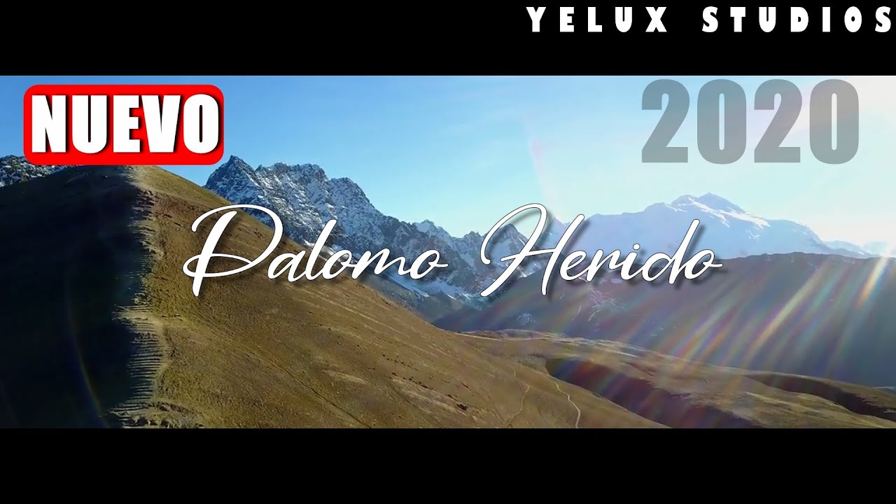 ROSSMERY ALATA - Palomo Herido - MÚSICA ANDINA 2020