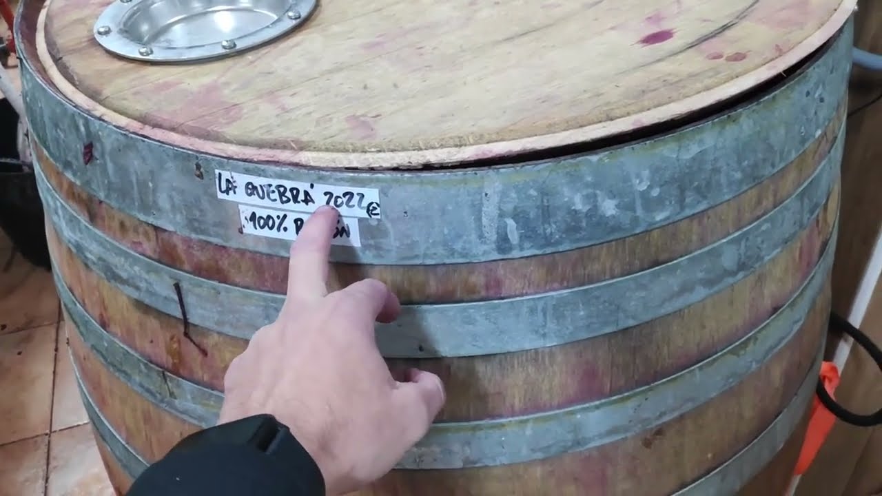 Elaboración de vinos con raspón