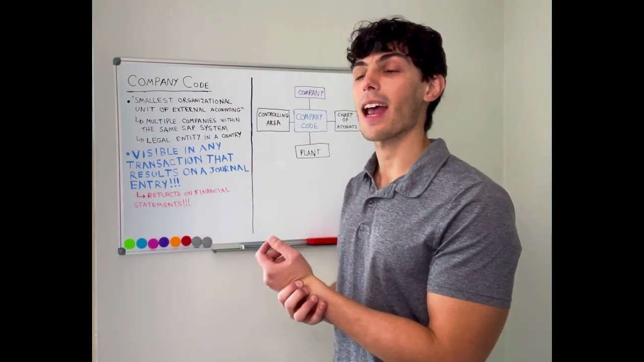 Company code and SAP customizing