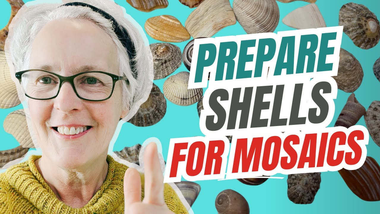 PREPARE SHELLS FOR MOSAICS: Get your shells ready for shell mosaics