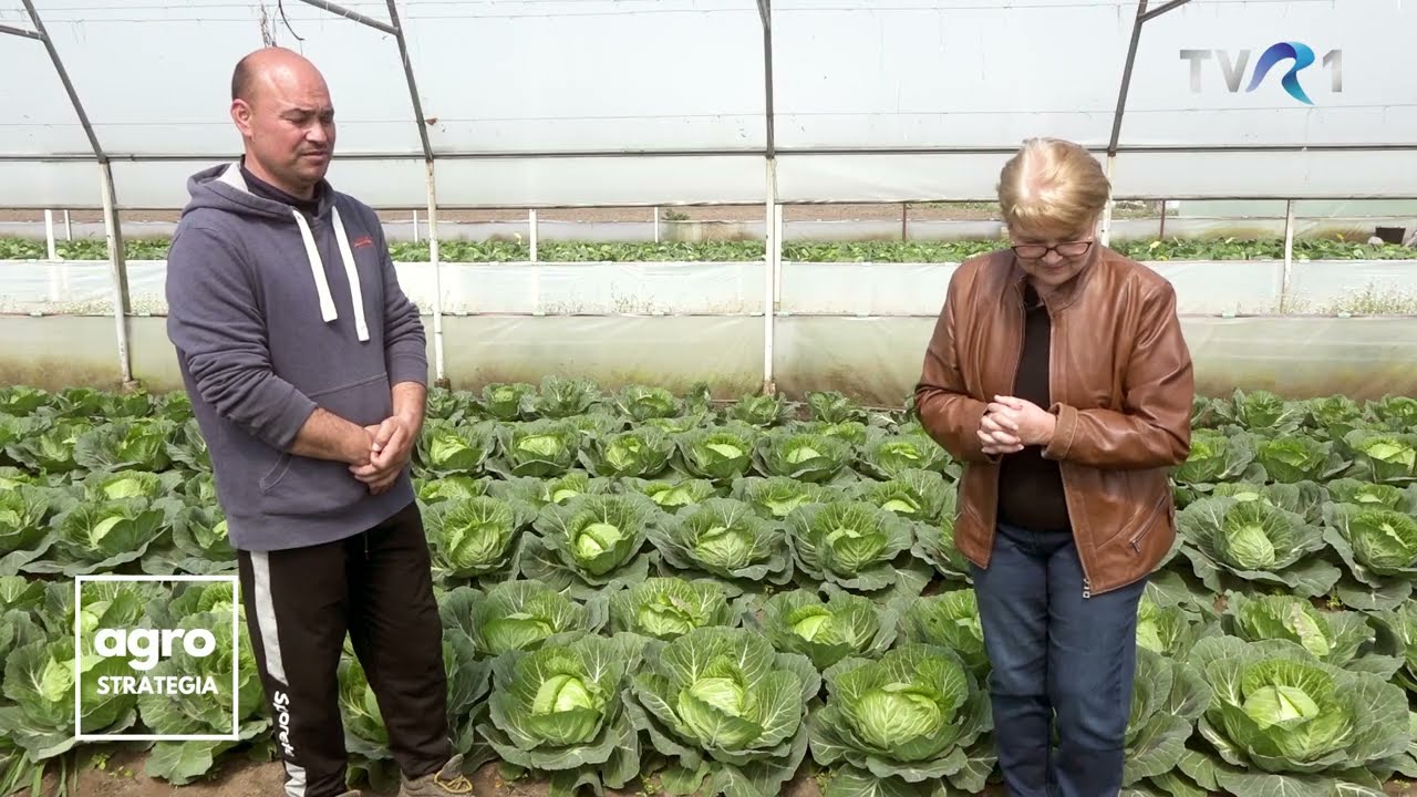În Grădina Danei, TVR 1. Cultura de varză, noi provăcări în fiecare an