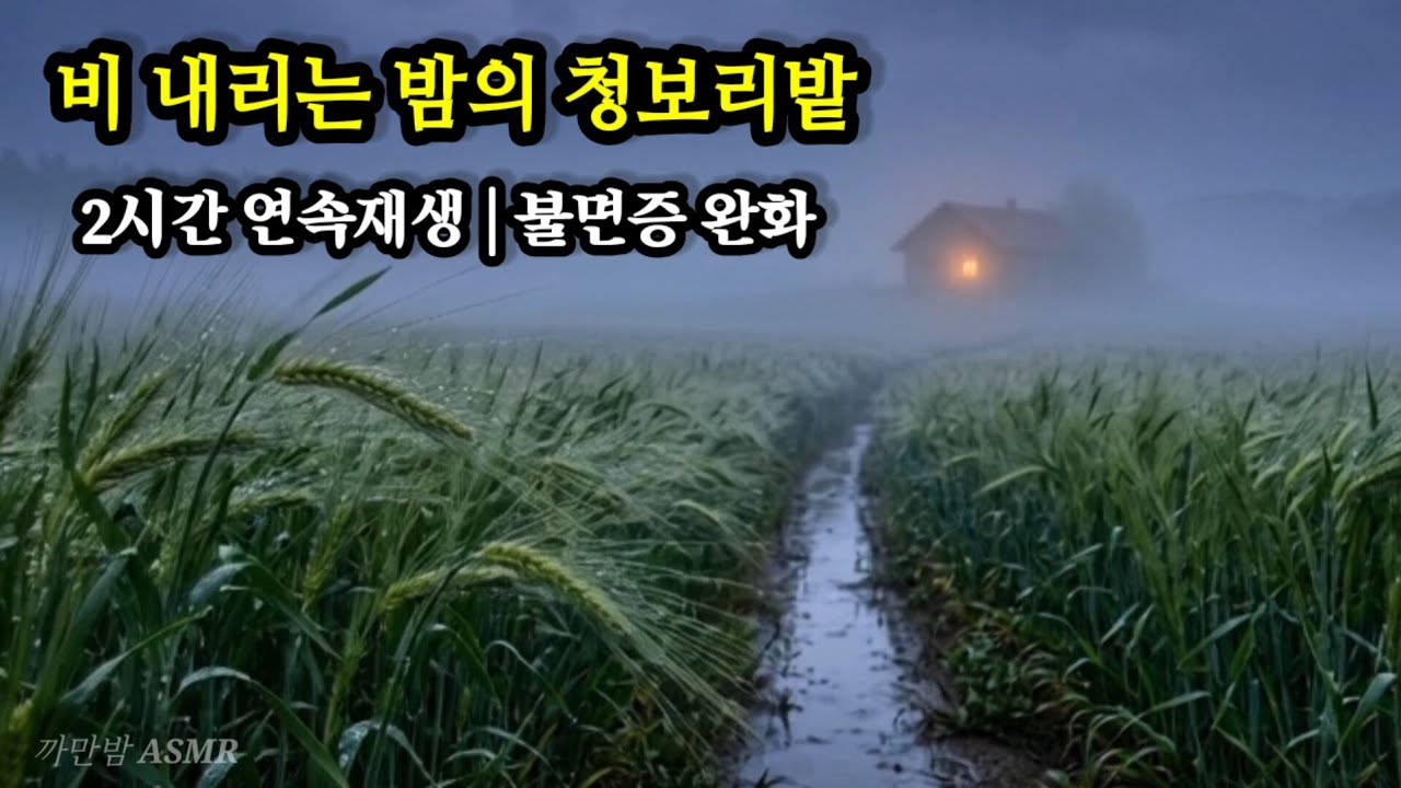 비 내리는 청보리밭 ASMR | 촉촉한 빗소리 2시간 (Rainy Barley Field, No Dark Screen)