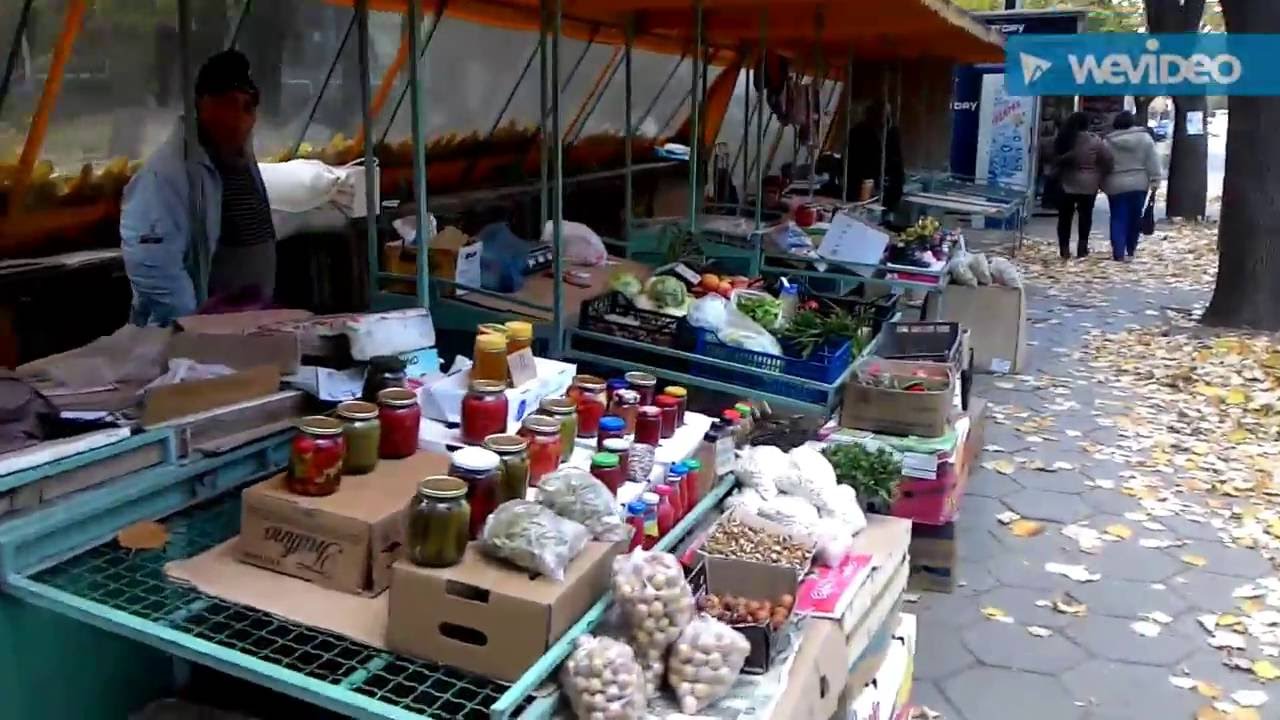 1#vlog#Bulgaristan şumnu