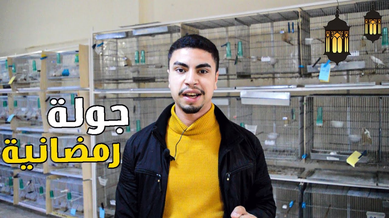 جولة في غرفة طيور الكناري 🤩🔥