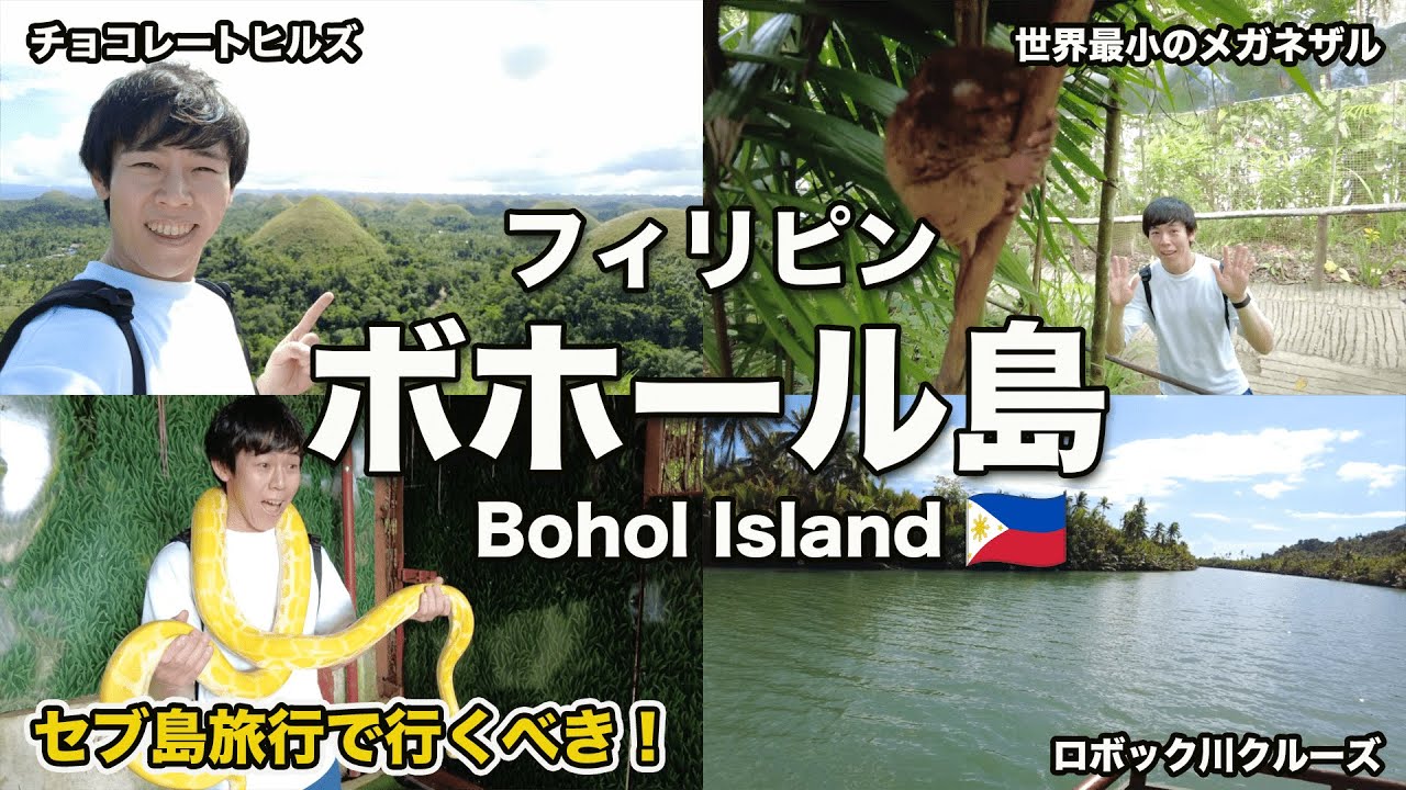 【ボホール島】セブ島から日帰りで行ける離島！行き方•費用•注意点も解説！一生の思い出に