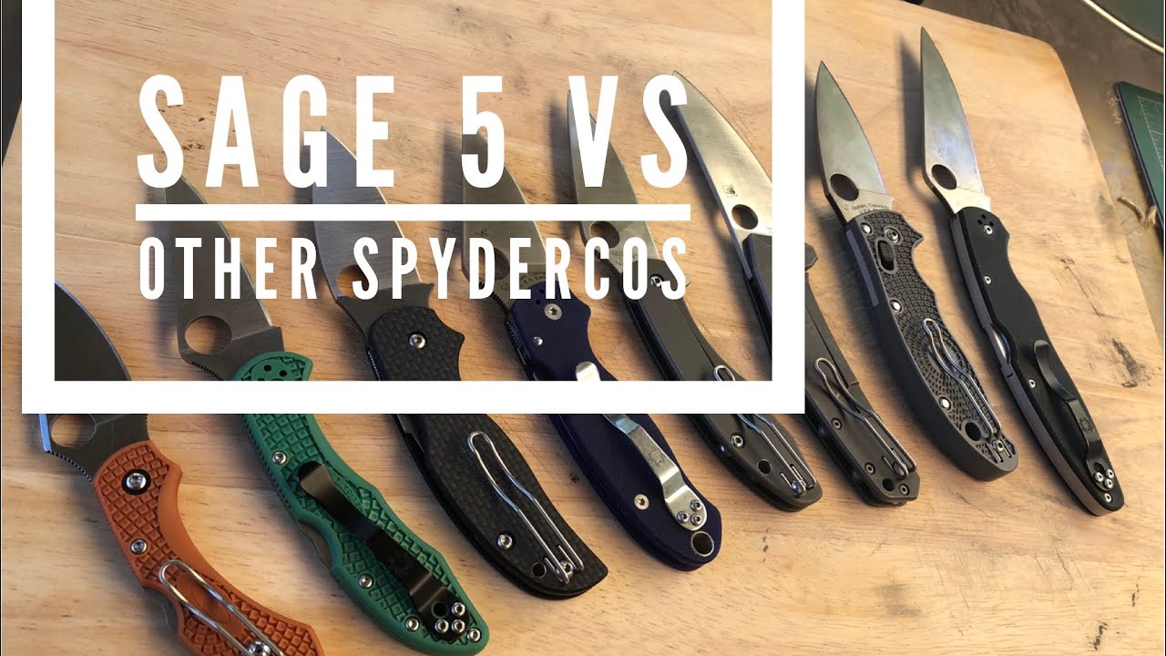 Sage 5 vs some other Spydercos