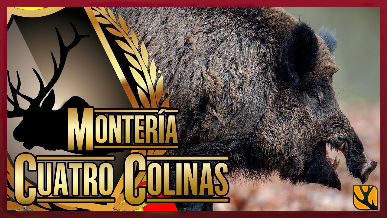 MONTERÍA THE HUNTER CALL OF THE WILD : ASOMBROSO NUEVO RECORD EN CAPTURAS