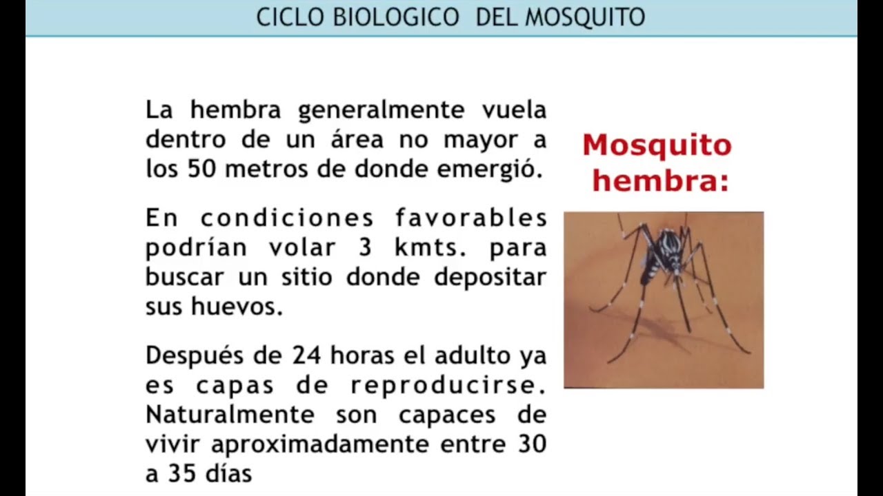 Arbovirosis y cambio climático: el caso del Dengue Zika y Chikungunya