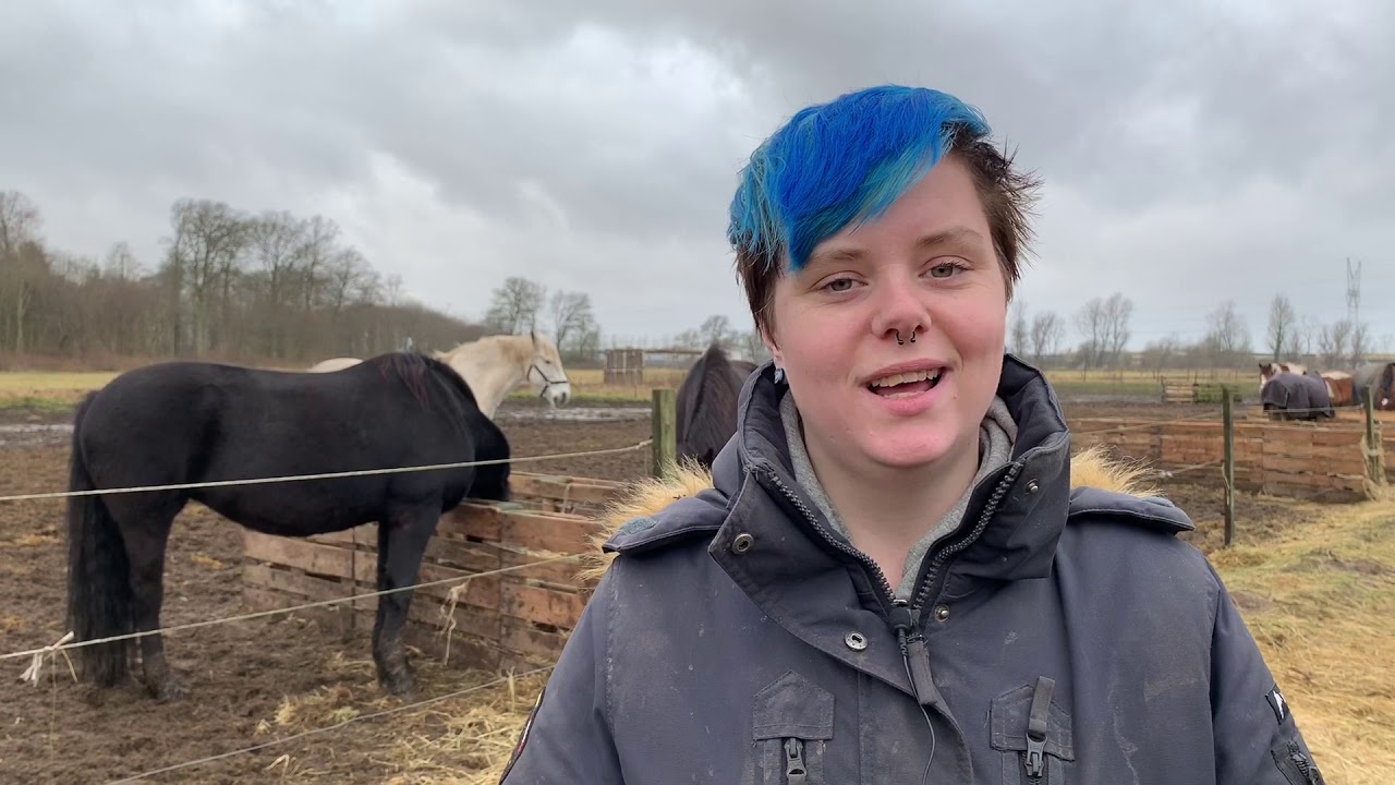 Camilla Stormont - Udvid din horisont med Ridehesten