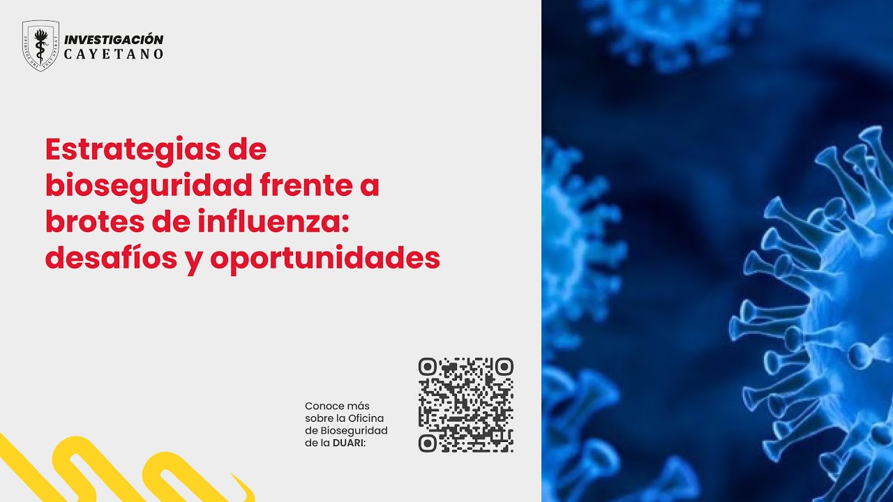 Webinar 