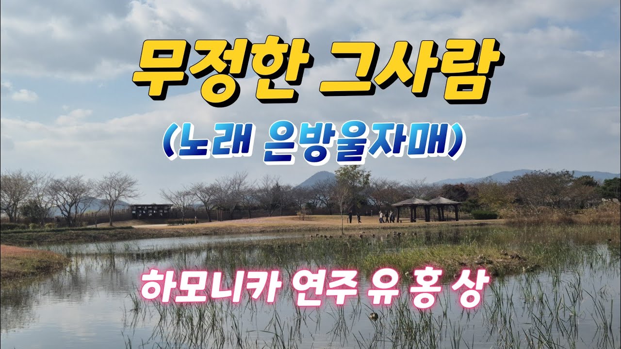 #무정한그사람 (원곡자 은방울자매) F키 #하모니카 연주 유 홍 상 #황악하모니카예술단 소속 