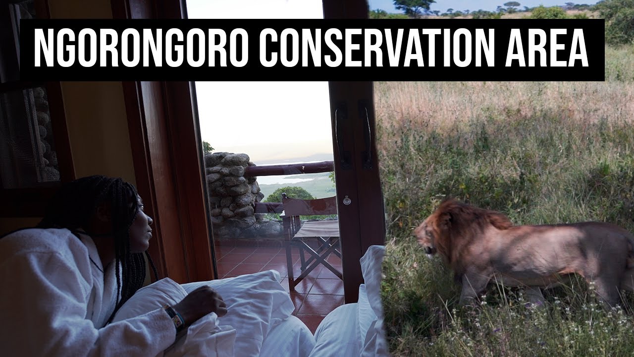 MY FIRST SAFARI - SERENGETI NATIONAL PARK & NGORONGORO CONSERVATION AREA - DAY 3 -  🇹🇿 TANZANIA