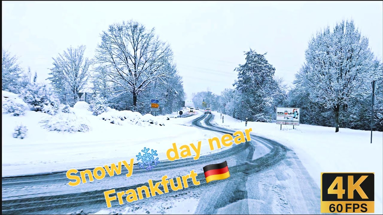 Snowfall on the outskirts of #Frankfurt 26.01.2026