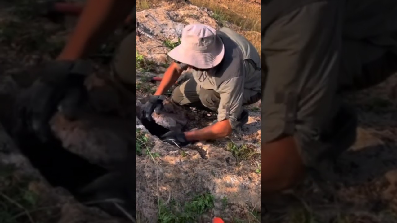 НАШЛИ СОКРОВИЩА КОЛХИДЫ В СКРЫТОЙ ПЕЩЕРЕ! #клад #находки #коп