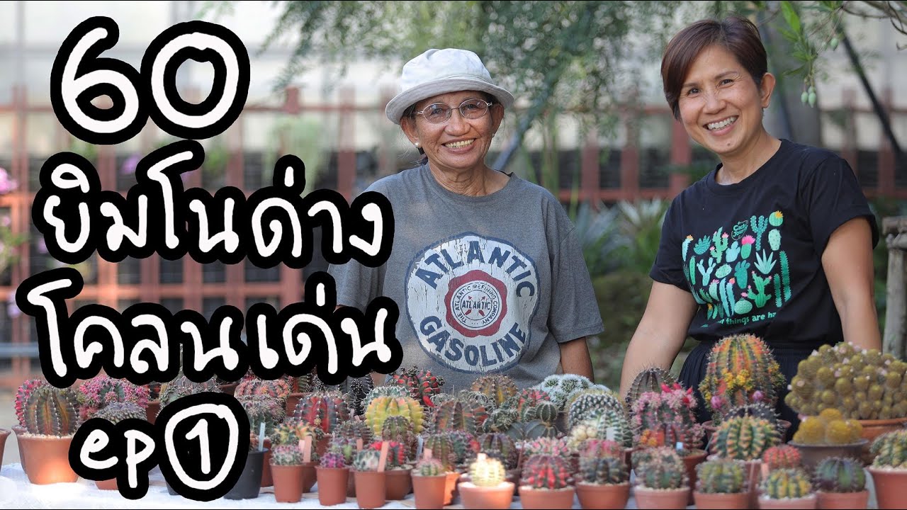 ยิมโนด่าง รวมโคลนเด่นๆของอาป้อม กระท่อมลุงจรณ์ ตอน 1 | Cactus Journey EP.131