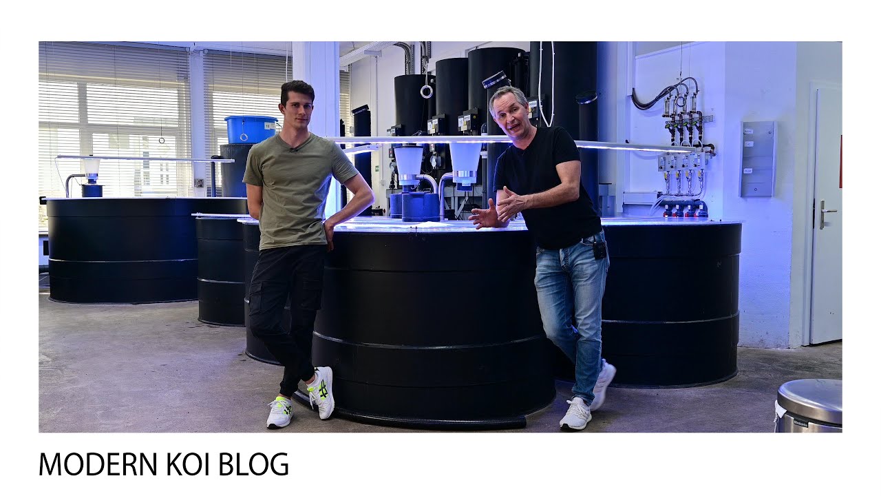 Modern Koi Blog #5100 - Beadfilter im Winter innen und im Sommer au&szlig;en