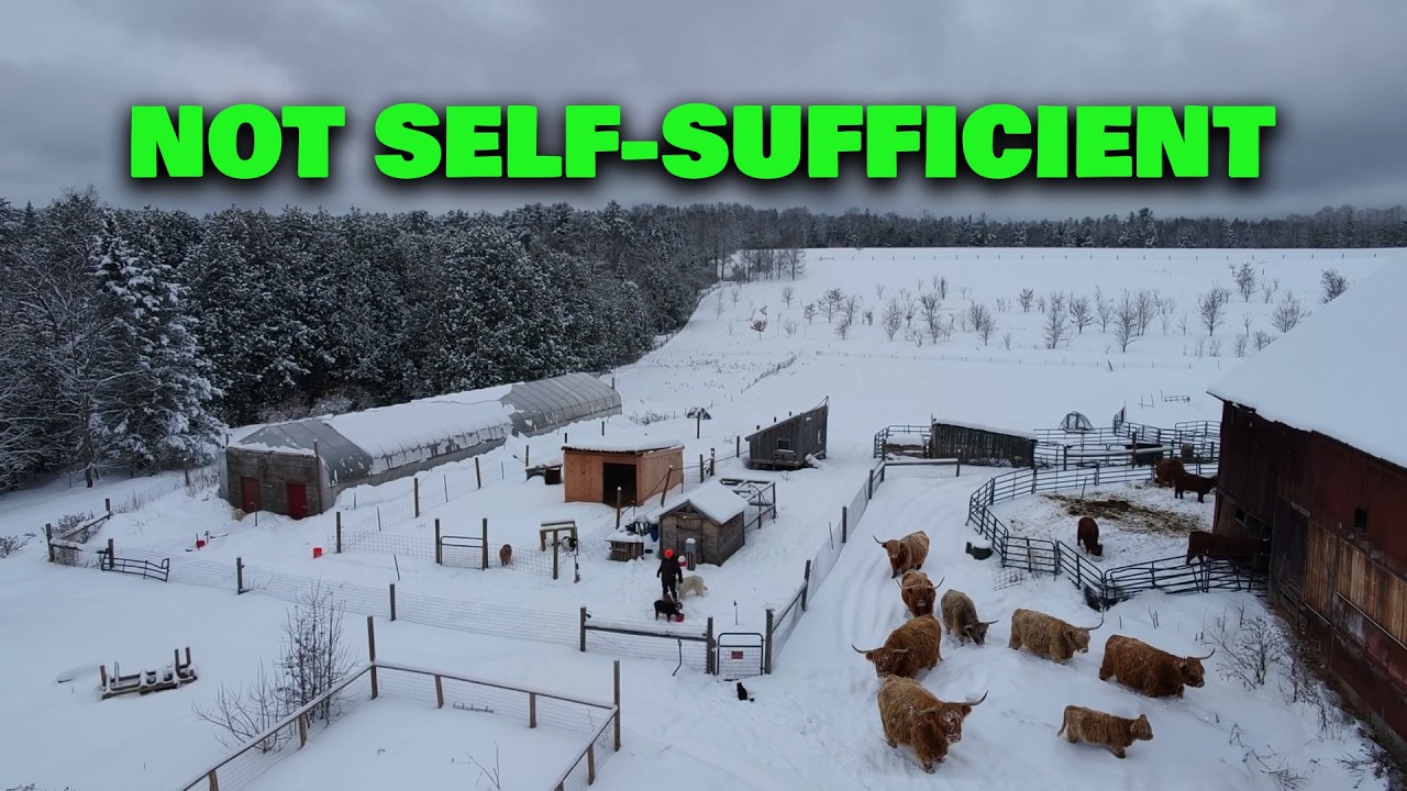 Homesteading is NOT Self-Sufficiency