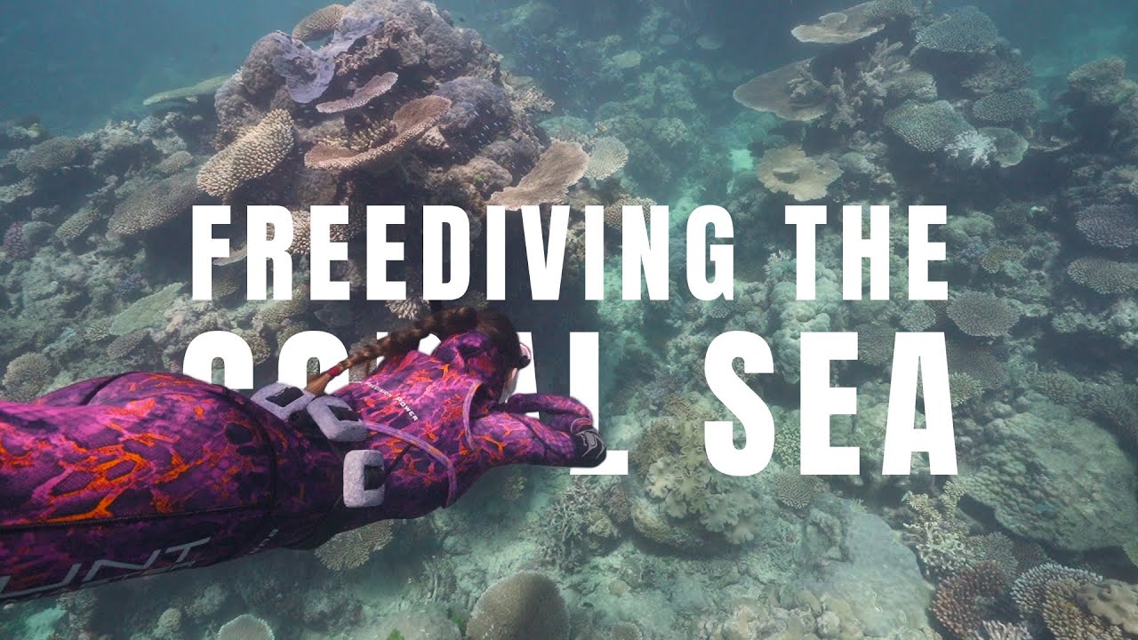 EPIC FREEDIVING The CORAL SEA | Huntress Reef Exploration