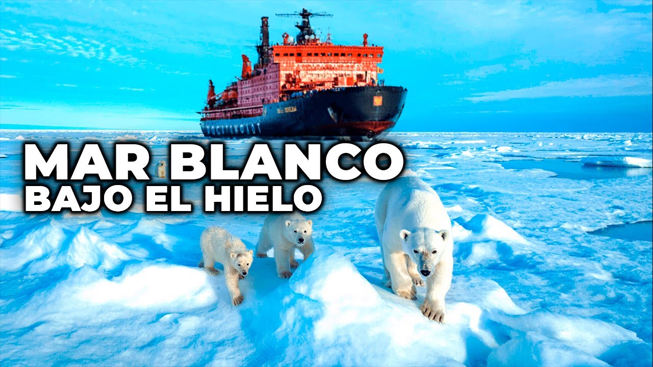 &Aacute;rtico ruso y Mar Blanco: Vida Marina Bajo el Hielo - Documental