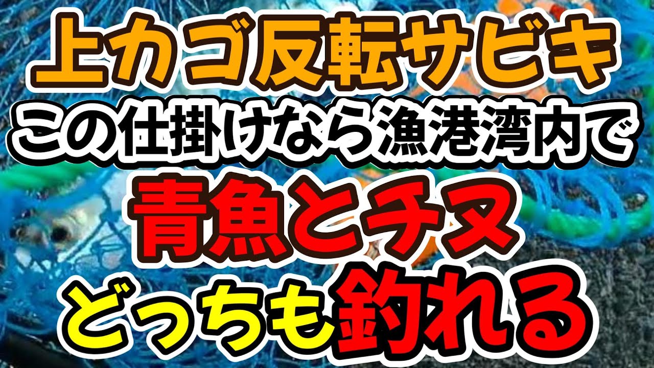 上カゴ反転サビキ釣り、この仕掛けなら漁港湾内で青魚とチヌ（黒鯛　クロダイ）どっちも釣れる