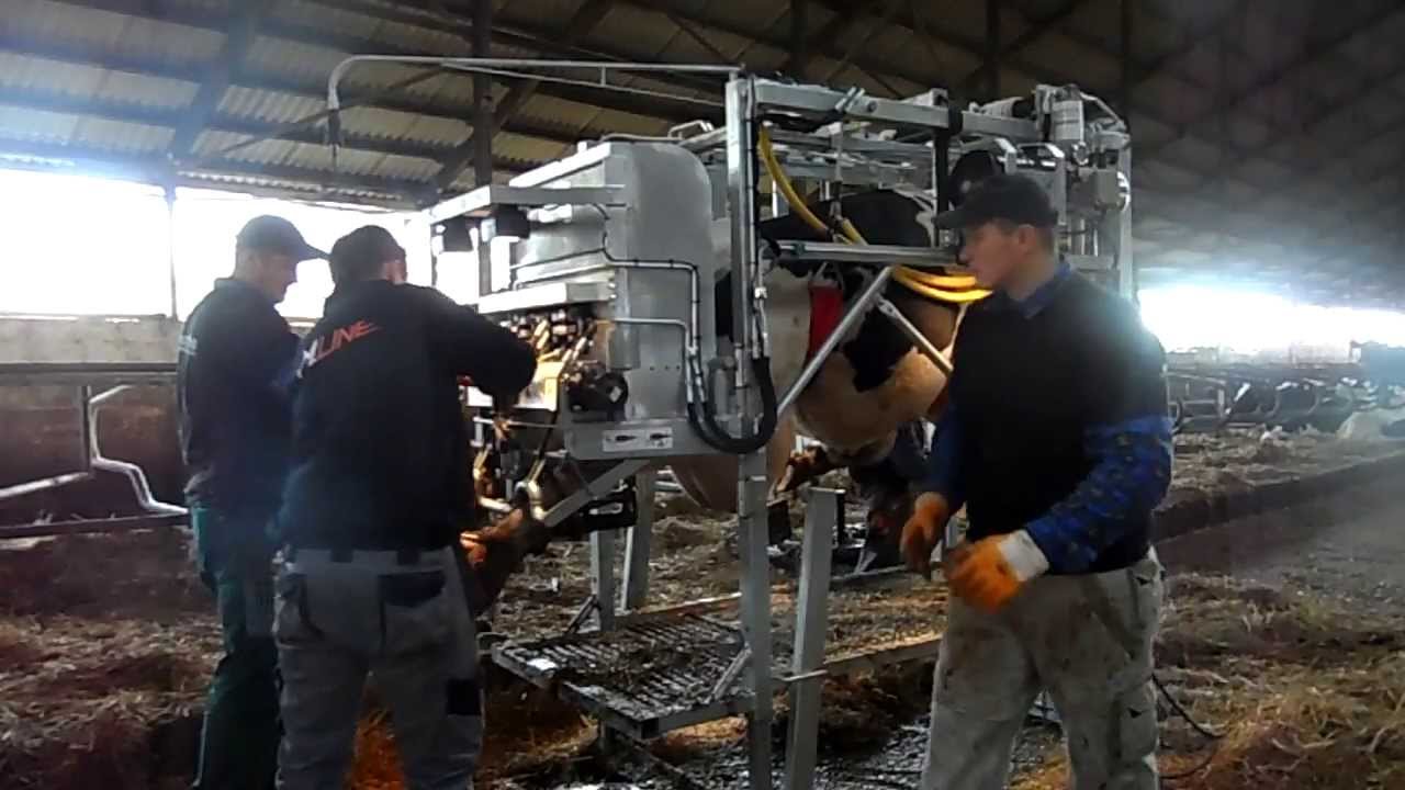 Poskrom hydrauliczny KVK Hydra Klov + korekcja racic 