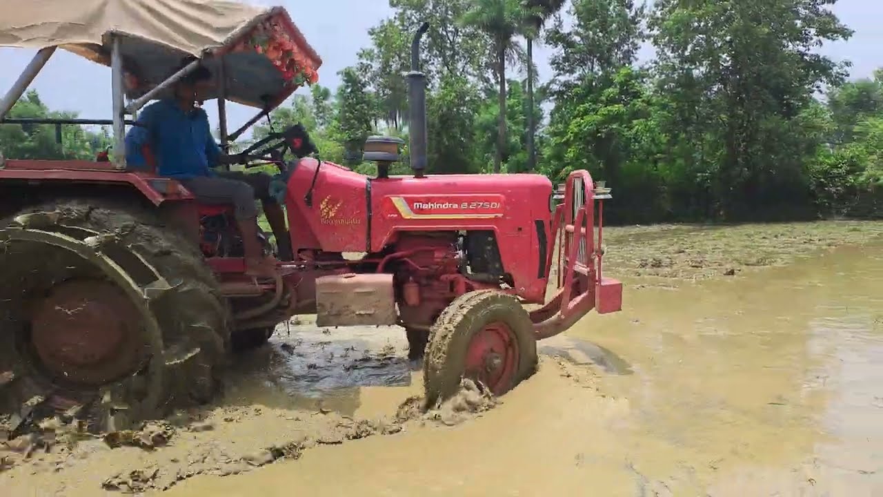 Mahindra Tractor की दमदार Performance | कीचड़ वाले खेत में जबरदस्त लेवलिंग!