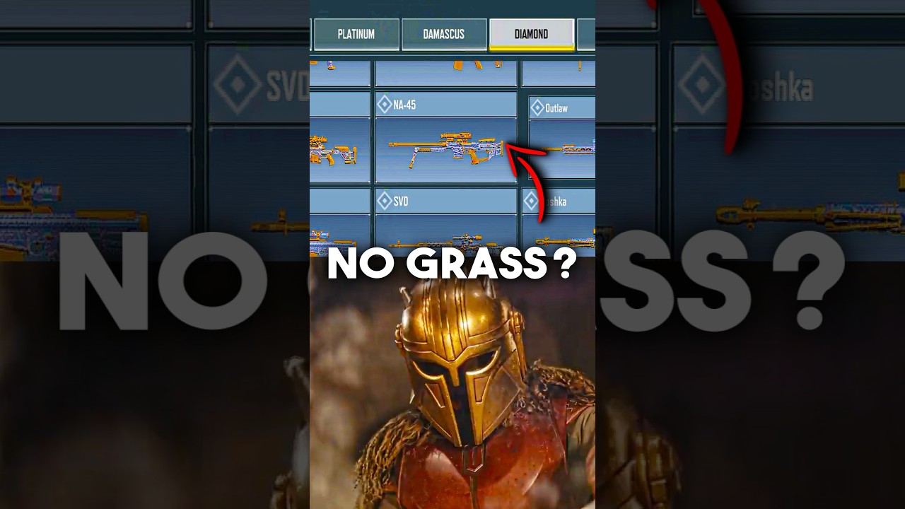 No Grass 2026 🗣️