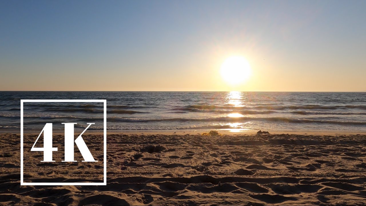ASMR 🎧 Santa Monica Beach 🏖 3D Binaural Ocean Wave Sound 🌊