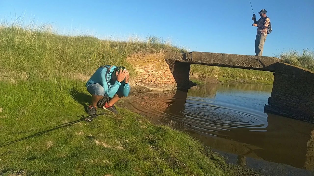 MONSTRUOS DE RÍO.. TARARIRA CON SEÑUELO