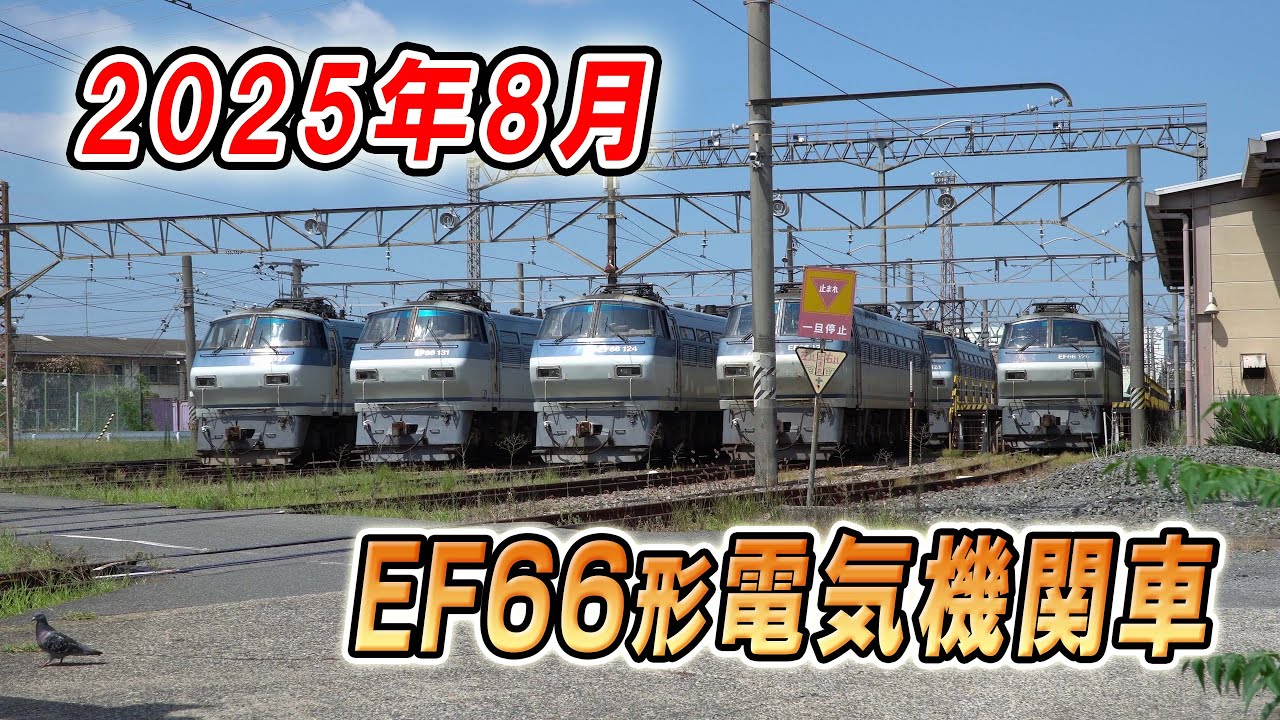 【貨物列車】EF66 100番台の現在　2025年8月