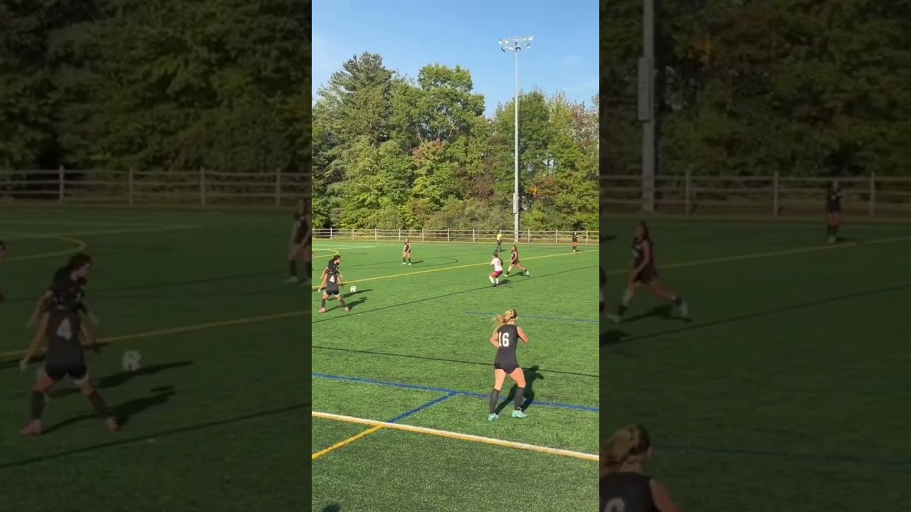 Anijah F - Senior Yr Highlights 