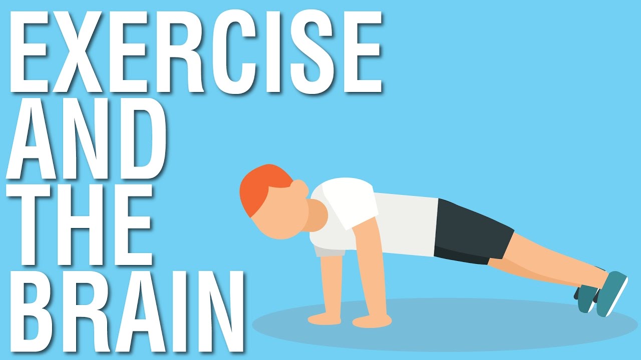 EXERCISE AND THE BRAIN - SPARK BY JOHN RATEY ANIMATED BOOK SUMMARY