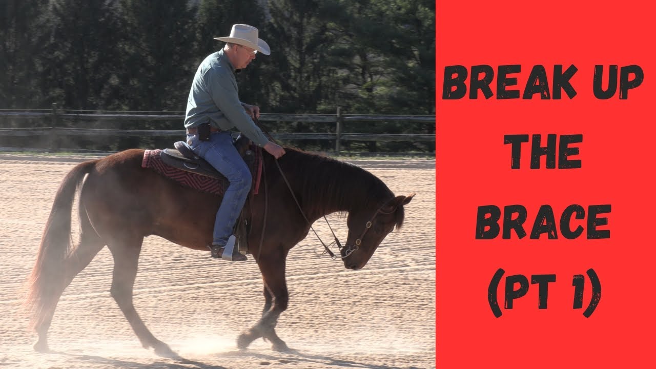Break Up the Brace - Part 1 (Episode 206) - Herm Gailey: A Lifetime with Horses