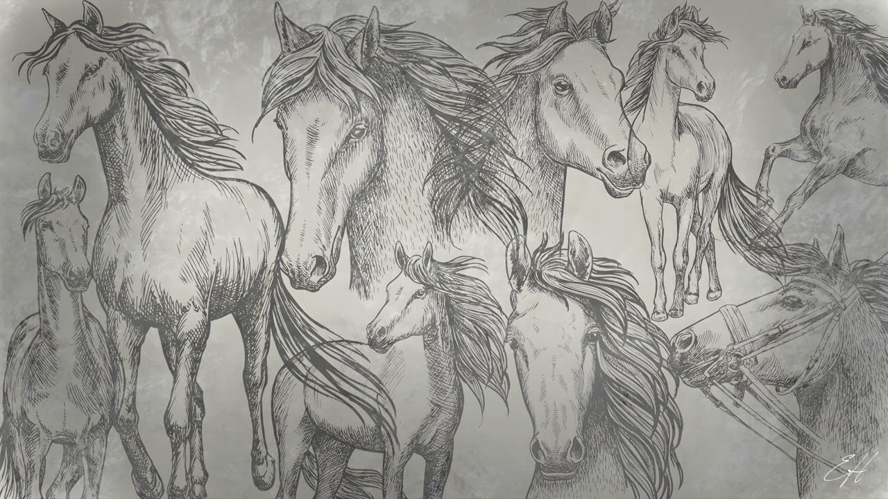 Minimal Line Art  Horses on Soft Beige Background  1 Hour Ambient Art