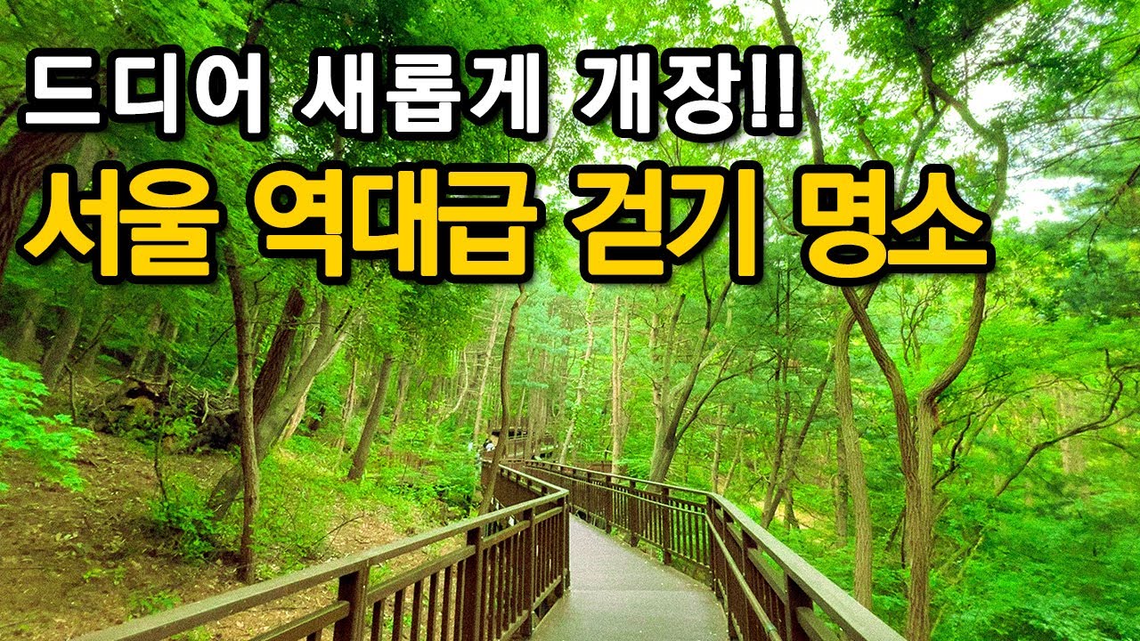 완전 신상!!! 이번에 새롭게 조성된 서울 도심 한복판 힐링 무장애숲길ㅣ대중교통 당일치기 여행ㅣ지하철 여행ㅣ트레킹 코스ㅣ서울산책