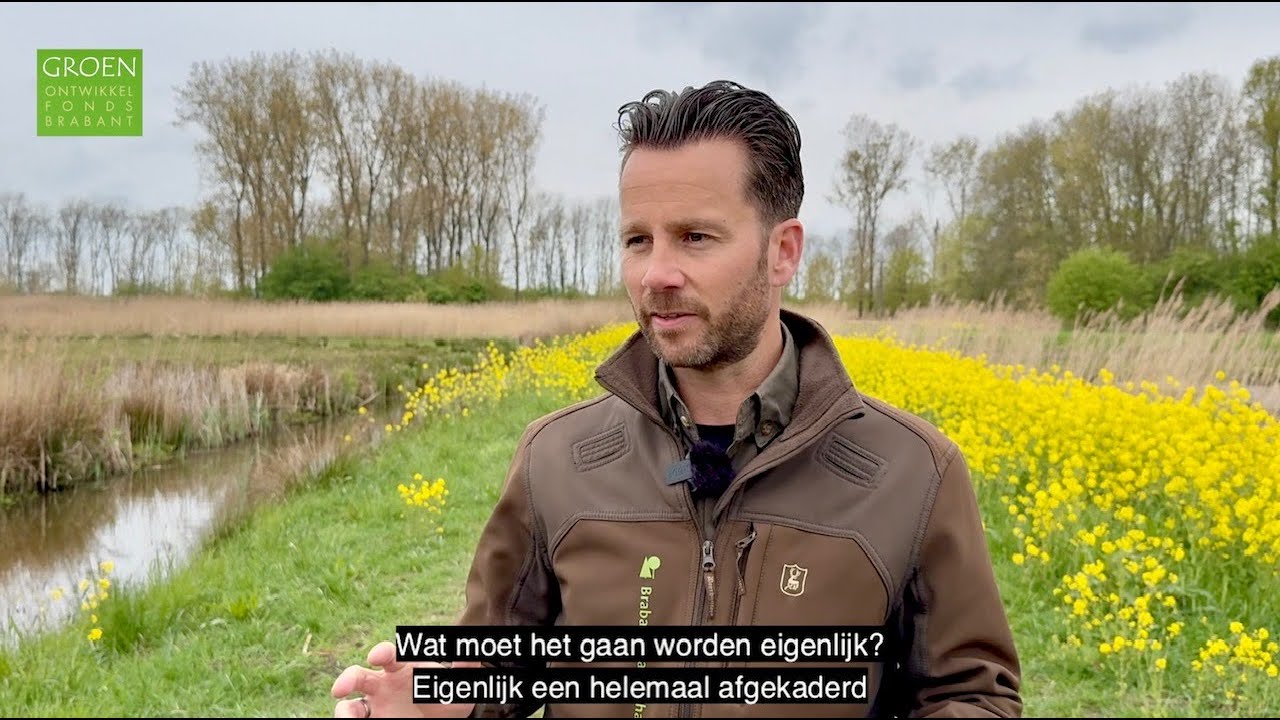 Pompveld   HD 1080p